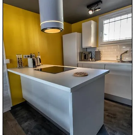 Apartment Le Florence - Duplex Moderne Climatise Avec Garage *