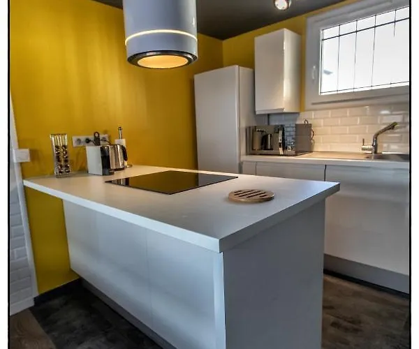 Apartamento Le Florence - Duplex Moderne Climatise Avec Garage *